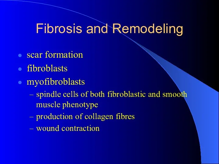 Fibrosis and Remodeling scar formation fibroblasts myofibroblasts spindle cells of