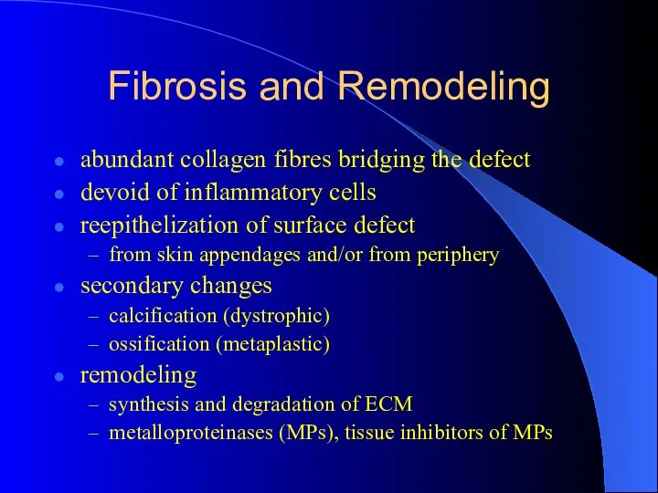 Fibrosis and Remodeling abundant collagen fibres bridging the defect devoid