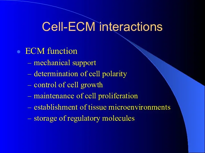 Cell-ECM interactions ECM function mechanical support determination of cell polarity
