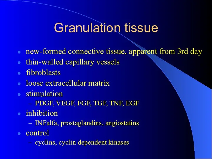Granulation tissue new-formed connective tissue, apparent from 3rd day thin-walled