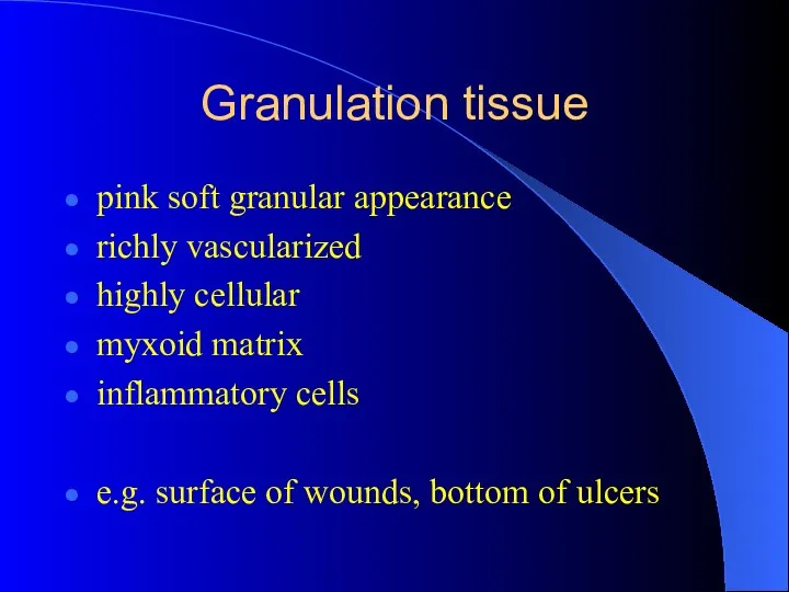 Granulation tissue pink soft granular appearance richly vascularized highly cellular