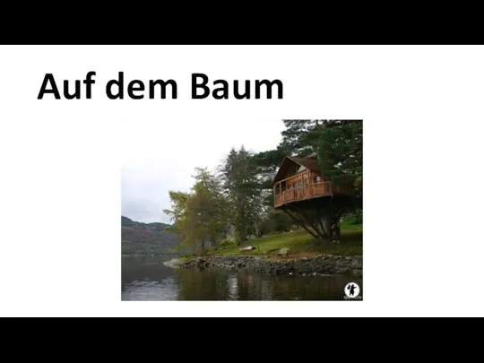 Auf dem Baum