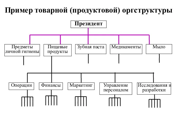 Пример товарной (продуктовой) оргструктуры Президент