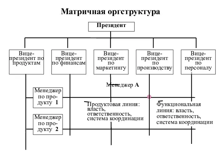 Матричная оргструктура Президент Продуктовая линия: власть, ответственность, система координации Функциональная линия: власть, ответственность, система координации