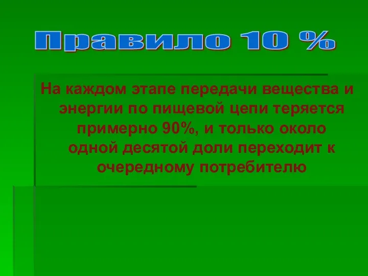 На каждом этапе передачи вещества и энергии по пищевой цепи теряется примерно 90%,