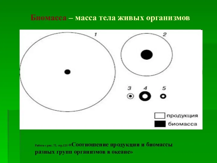 Биомасса – масса тела живых организмов Работа с рис. 72. стр.125 «Соотношение продукции