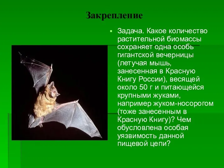 Закрепление Задача. Какое количество растительной биомассы сохраняет одна особь гигантской