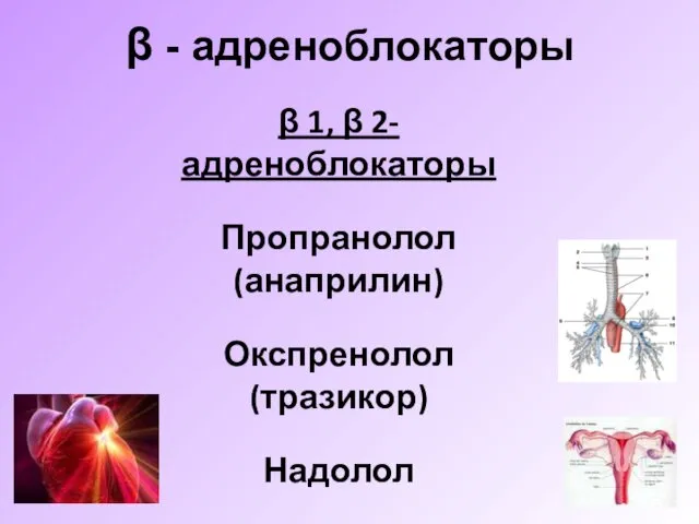 β - адреноблокаторы β 1, β 2- адреноблокаторы Пропранолол (анаприлин)