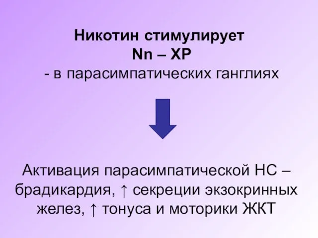 Никотин стимулирует Nn – ХР - в парасимпатических ганглиях Активация