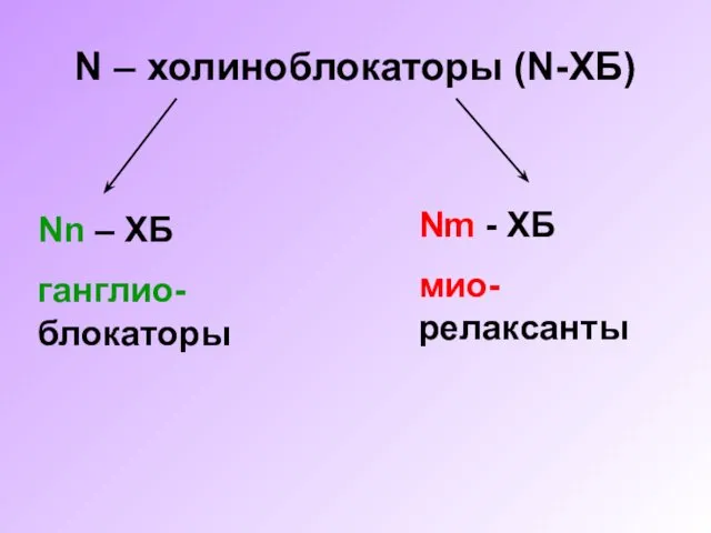 N – холиноблокаторы (N-ХБ) Nn – ХБ ганглио-блокаторы Nm - ХБ мио-релаксанты