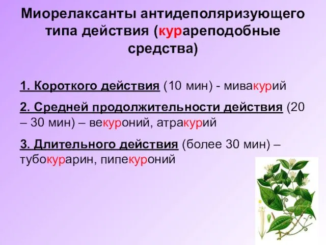 Миорелаксанты антидеполяризующего типа действия (курареподобные средства) 1. Короткого действия (10