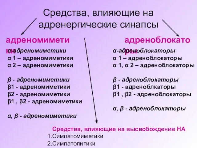 Средства, влияющие на адренергические синапсы адреномиметики адреноблокаторы α-адреномиметики α 1