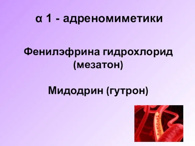 α 1 - адреномиметики Фенилэфрина гидрохлорид (мезатон) Мидодрин (гутрон)