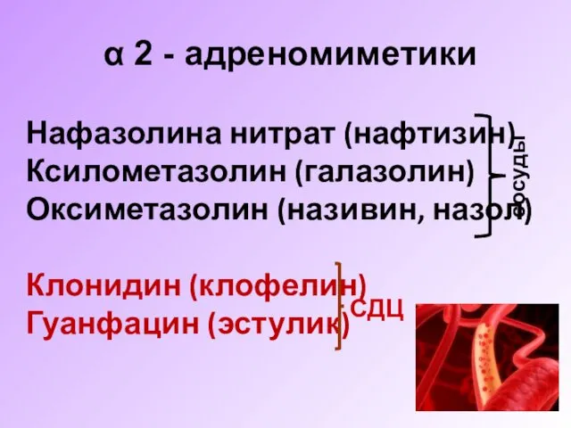 α 2 - адреномиметики Нафазолина нитрат (нафтизин) Ксилометазолин (галазолин) Оксиметазолин