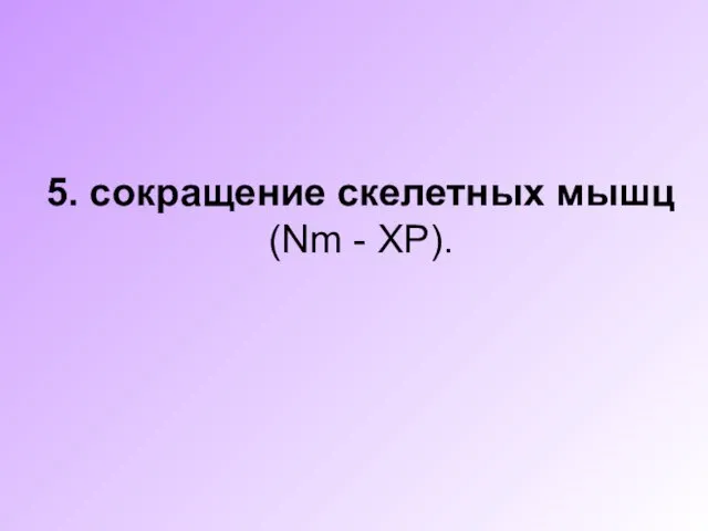 5. сокращение скелетных мышц (Nm - ХР).