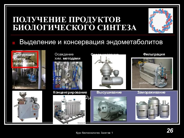 ПОЛУЧЕНИЕ ПРОДУКТОВ БИОЛОГИЧЕСКОГО СИНТЕЗА Выделение и консервация эндометаболитов Деструкция Клеток