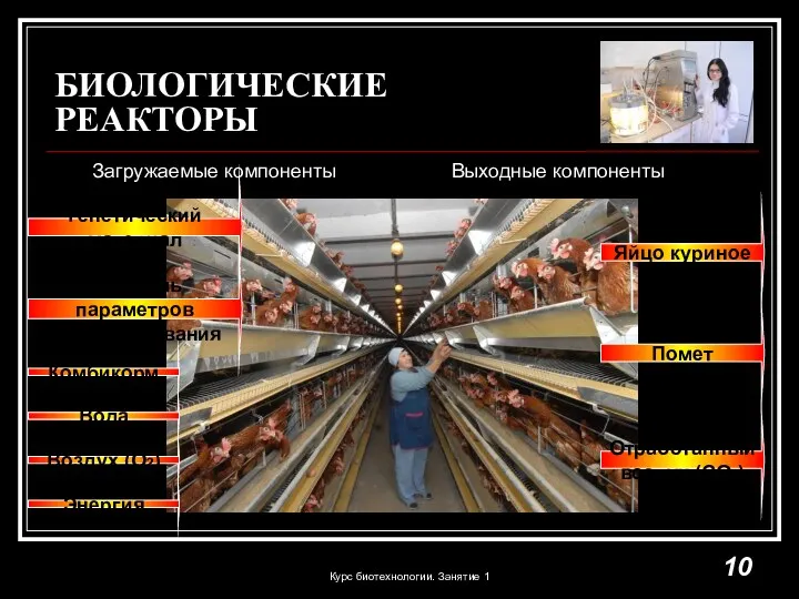 БИОЛОГИЧЕСКИЕ РЕАКТОРЫ Загружаемые компоненты Выходные компоненты Комбикорм Энергия Контроль параметров