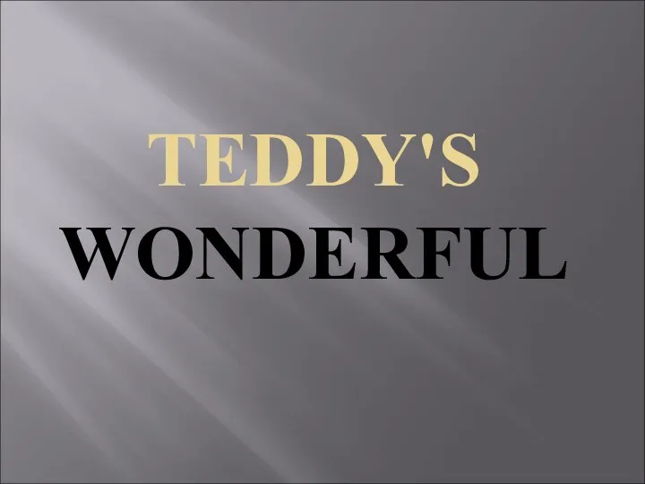 Teddy's wonderful