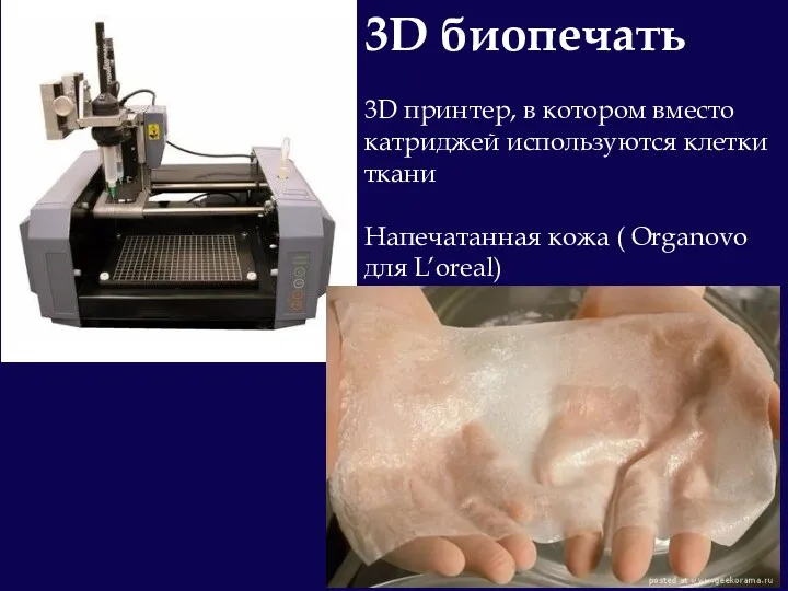 3D биопечать 3D принтер, в котором вместо катриджей используются клетки ткани Напечатанная кожа