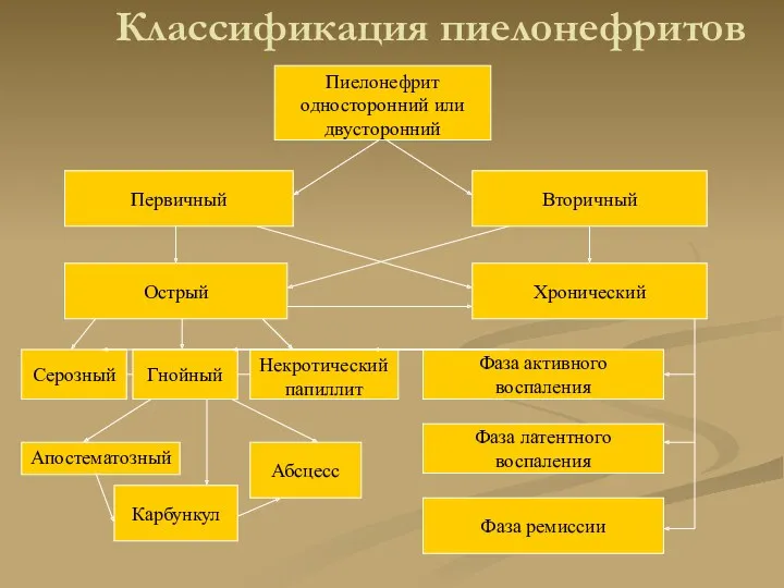 Классификация пиелонефритов Пиелонефрит односторонний или двусторонний Первичный Вторичный Острый Хронический