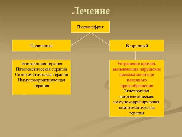 Лечение Пиелонефрит Первичный Вторичный Этиотропная терапия Патогенетическая терапия Симптоматическая терапия