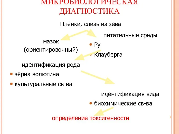 МИКРОБИОЛОГИЧЕСКАЯ ДИАГНОСТИКА