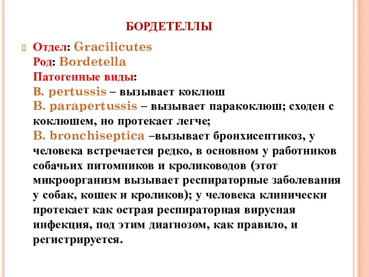 БОРДЕТЕЛЛЫ Отдел: Gracilicutes Род: Bordetella Патогенные виды: В. pertussis –