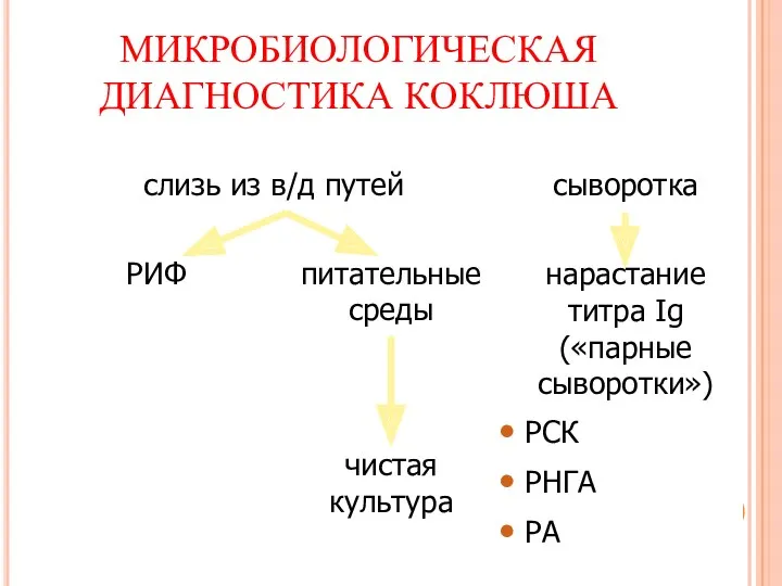 МИКРОБИОЛОГИЧЕСКАЯ ДИАГНОСТИКА КОКЛЮША