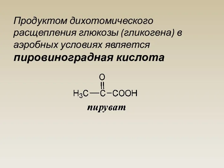 Продуктом дихотомического расщепления глюкозы (гликогена) в аэробных условиях является пировиноградная кислота