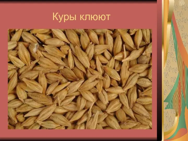 Куры клюют