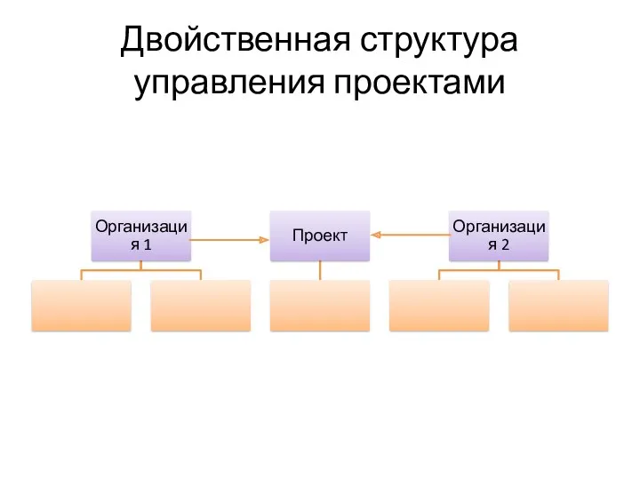 Двойственная структура управления проектами