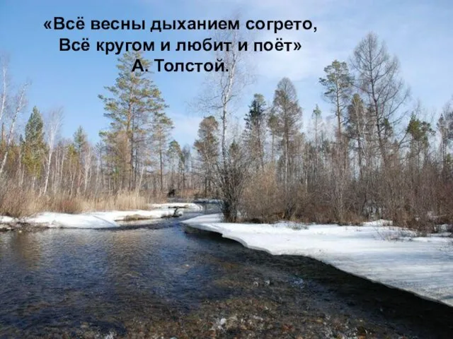 «Всё весны дыханием согрето, Всё кругом и любит и поёт» А. Толстой.