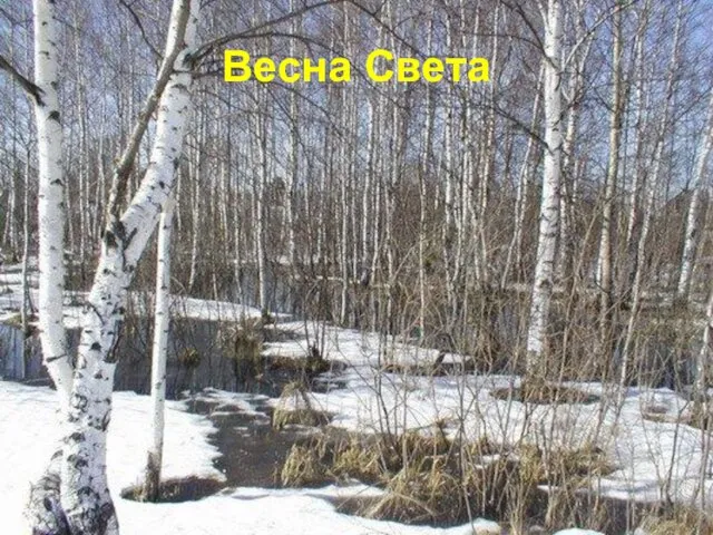 Весна Света