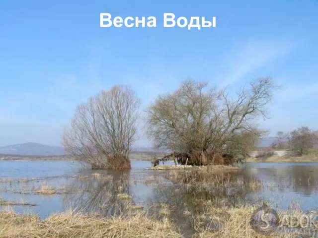 Весна Воды