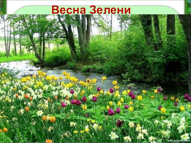 Весна Зелени