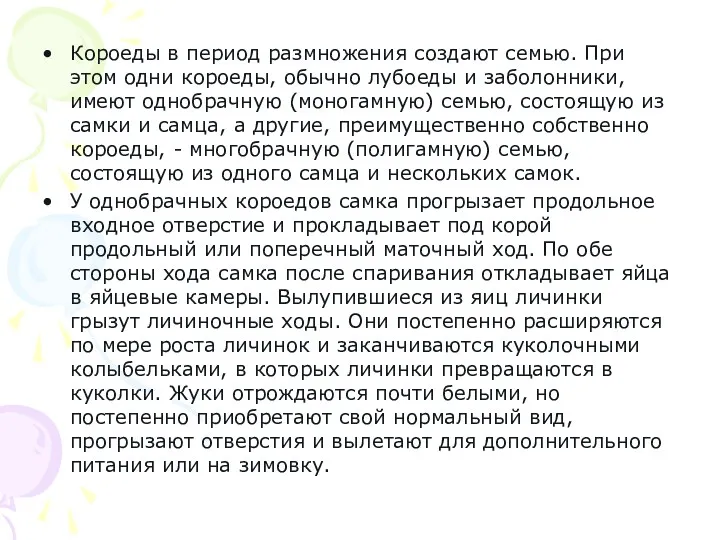 Короеды в период размножения создают семью. При этом одни короеды,