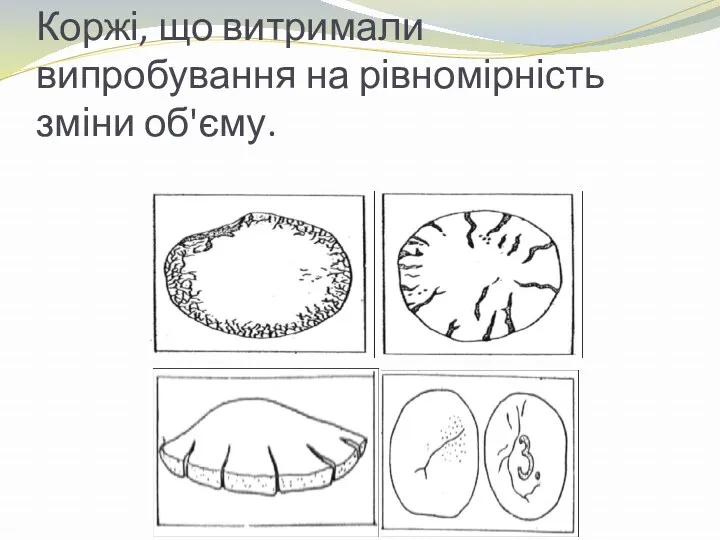 Коржі, що витримали випробування на рівномірність зміни об'єму.