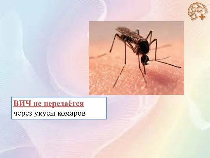 ВИЧ не передаётся через укусы комаров