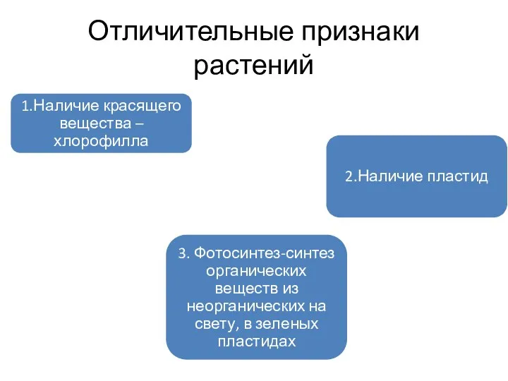 Отличительные признаки растений 1.Наличие красящего вещества – хлорофилла 2.Наличие пластид