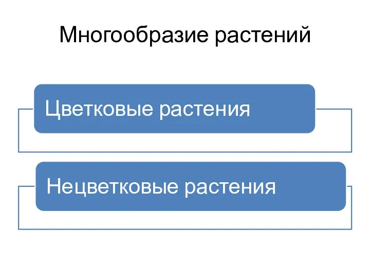 Многообразие растений Цветковые растения Нецветковые растения