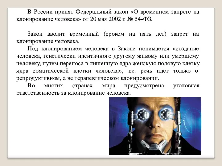 В России принят Федеральный закон «О временном запрете на клонирование