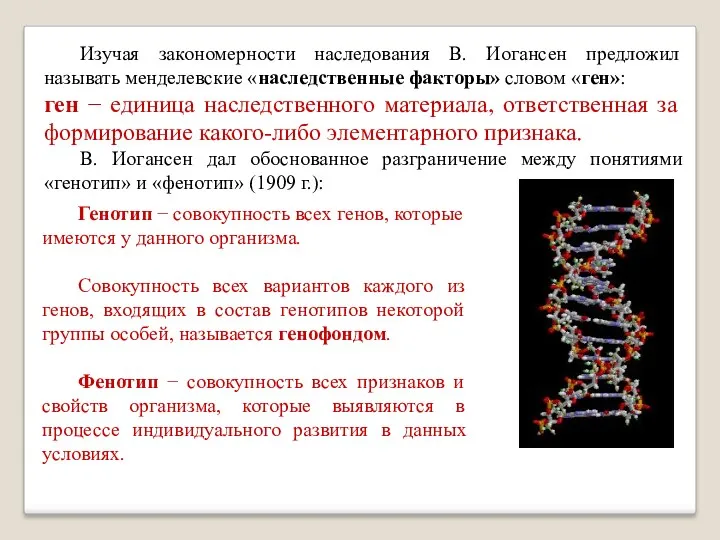 Изучая закономерности наследования В. Иогансен предложил называть менделевские «наследственные факторы»