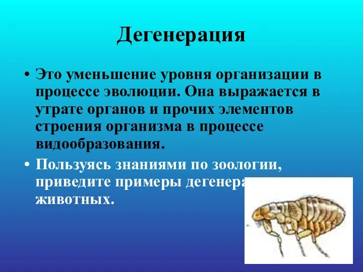 Дегенерация Это уменьшение уровня организации в процессе эволюции. Она выражается