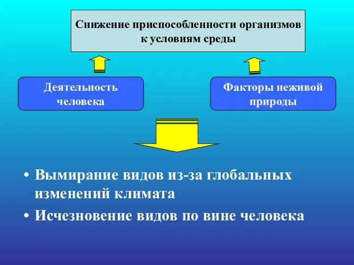 Вымирание видов из-за глобальных изменений климата Исчезновение видов по вине