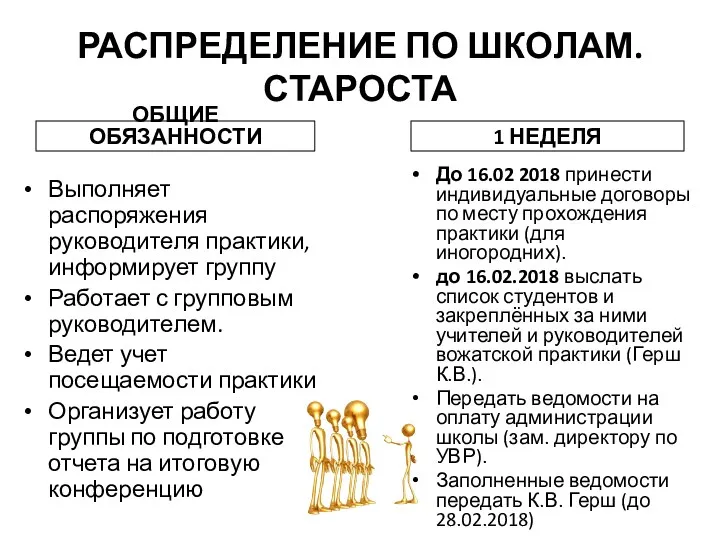 РАСПРЕДЕЛЕНИЕ ПО ШКОЛАМ. СТАРОСТА ОБЩИЕ ОБЯЗАННОСТИ Выполняет распоряжения руководителя практики,