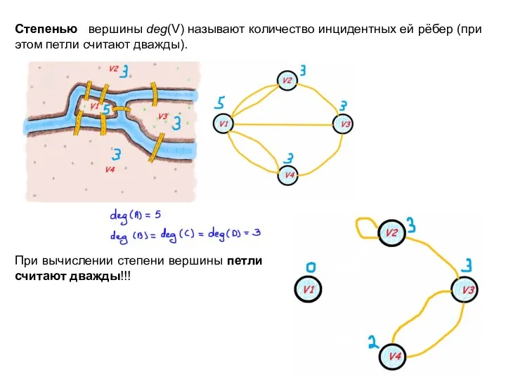 Степенью вершины deg(V) называют количество инцидентных ей рёбер (при этом