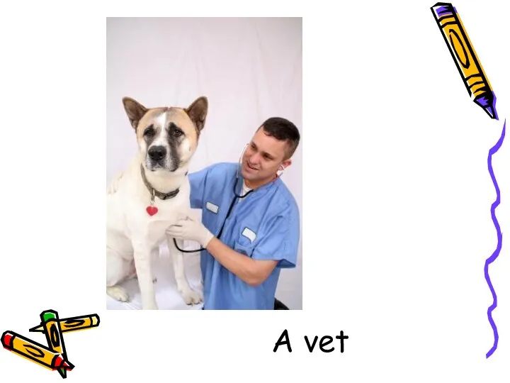 A vet