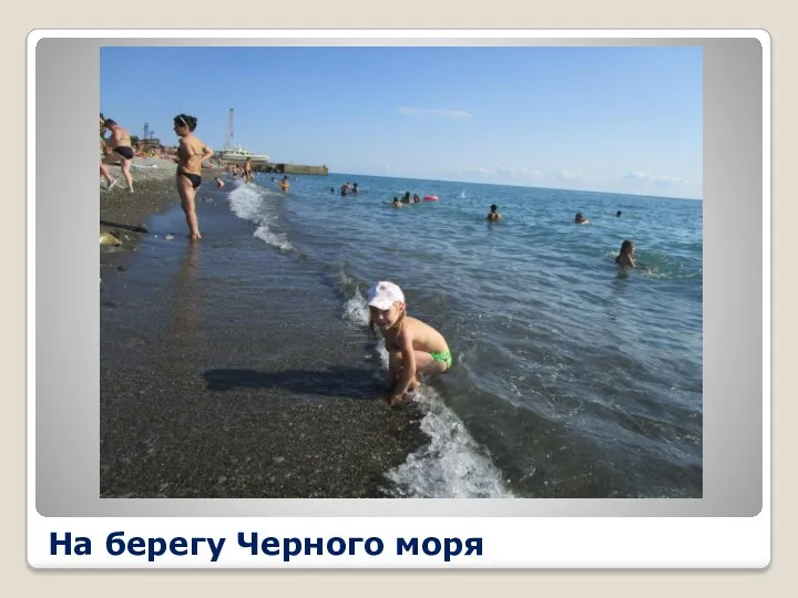 На берегу Черного моря