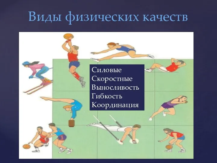 Виды физических качеств Силовые Скоростные Выносливость Гибкость Координация