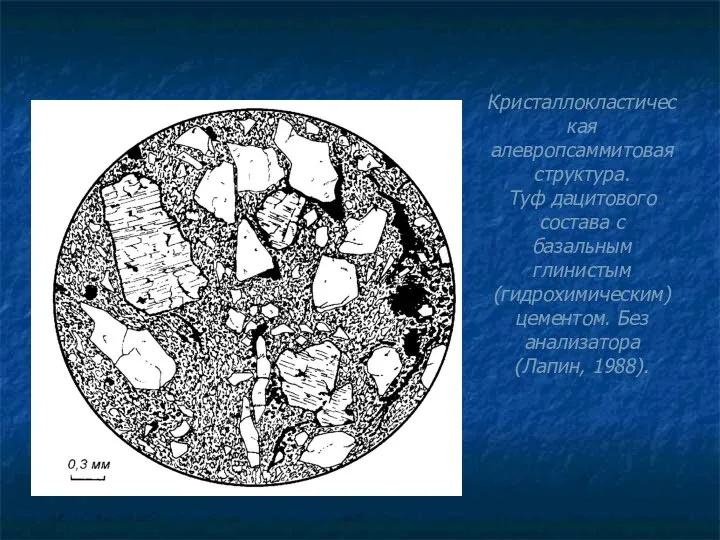 Кристаллокластическая алевропсаммитовая структура. Туф дацитового состава с базальным глинистым (гидрохимическим) цементом. Без анализатора (Лапин, 1988).